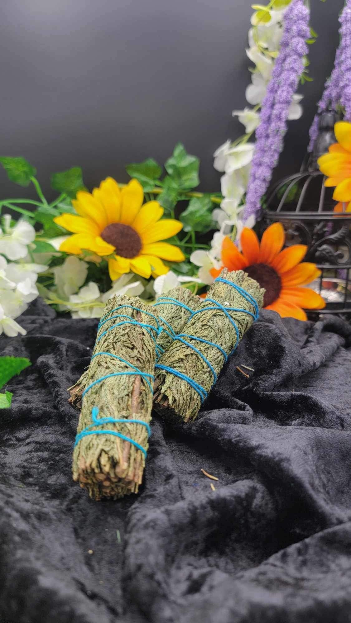 Cedar sage
